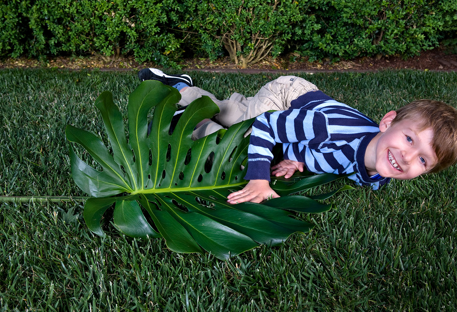 jos08pp05_garden_191