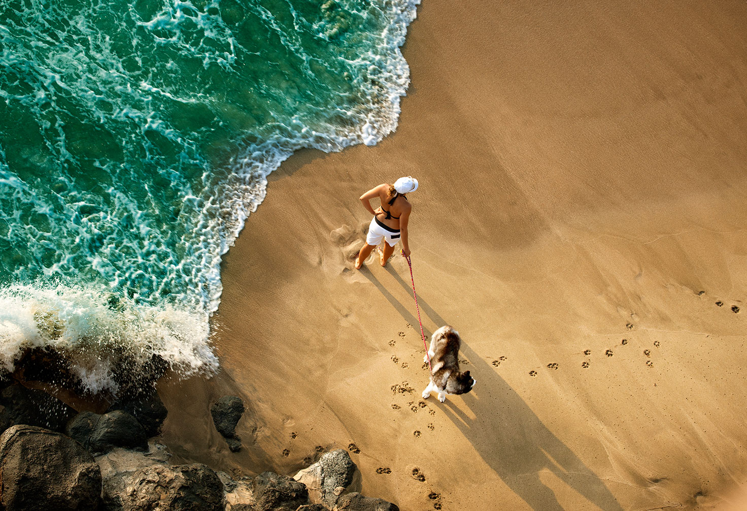 woman-walking-dog-at--beach